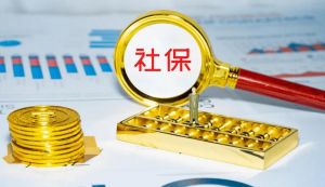社会保险 社会保险