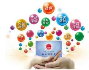 社会保险 社会保险