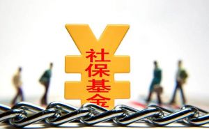 社会保险 社会保险