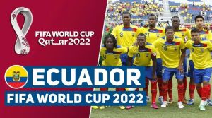 世界杯：卡塔尔VS厄瓜多尔