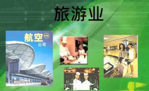 旅游业 旅游业