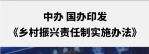 乡村振兴责任制实施办法
