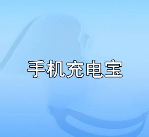 手机充电宝