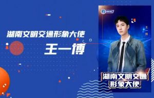 湖南省文明交通形象大使