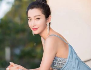 李冰冰人物形象照