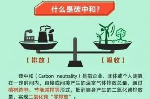 碳中和