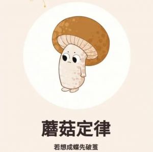 蘑菇定律