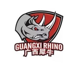 广西威壮篮球俱乐部