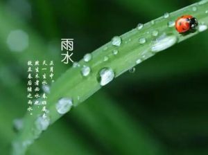 雨水 雨水