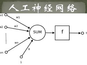 人工神经网络