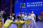第二十届中国吴桥国际杂技艺术节